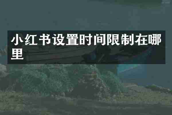 小红书设置时间限制在哪里