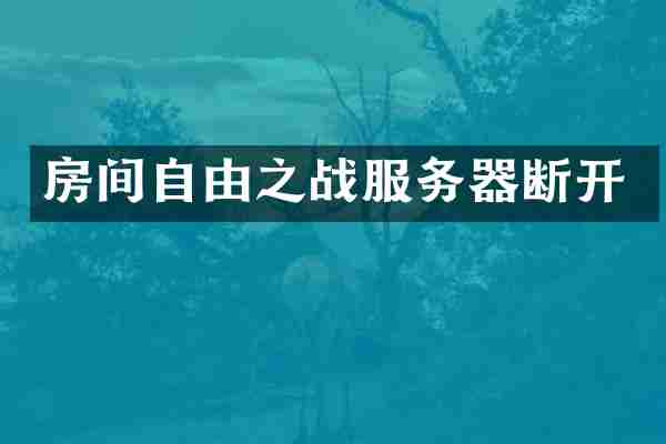 房间自由之战服务器断开
