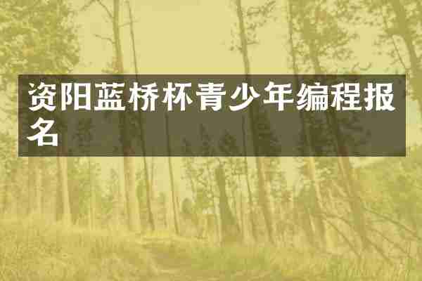 资阳蓝桥杯青少年编程报名