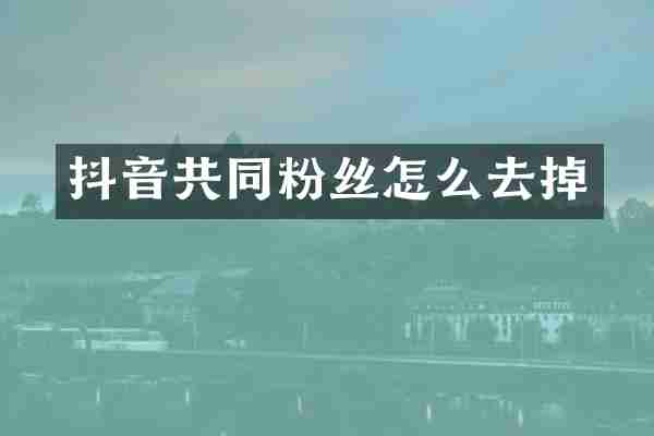 抖音共同粉丝怎么去掉