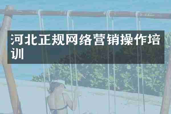 河北正规网络营销操作培训