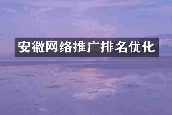 安徽网络推广排名优化