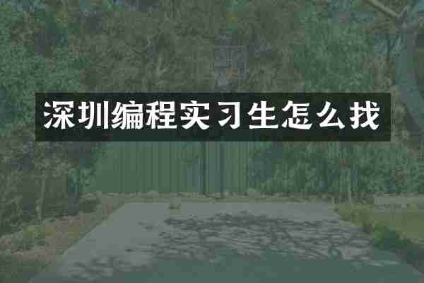 深圳编程实习生怎么找