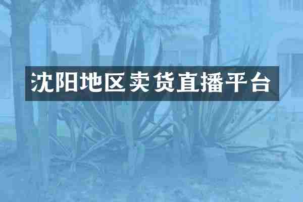 沈阳地区卖货直播平台