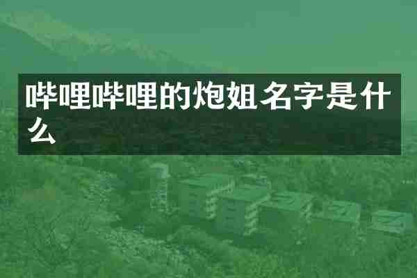 哔哩哔哩的炮姐名字是什么