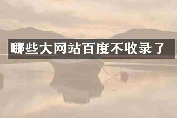 哪些大网站百度不收录了