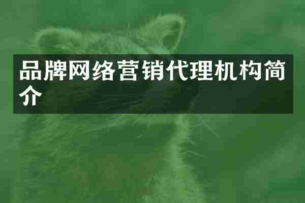 品牌网络营销代理机构简介