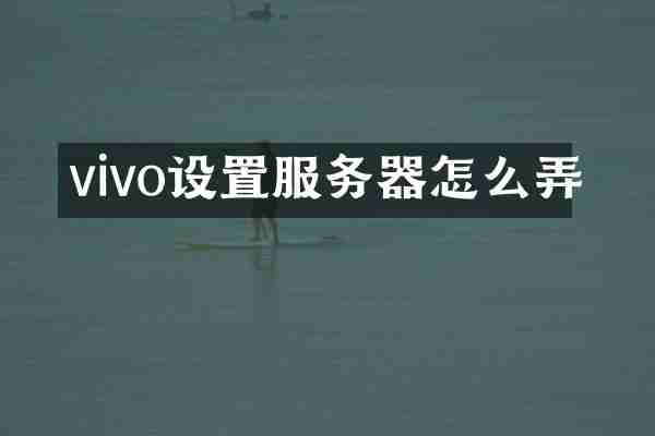 vivo设置服务器怎么弄