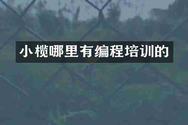 小榄哪里有编程培训的