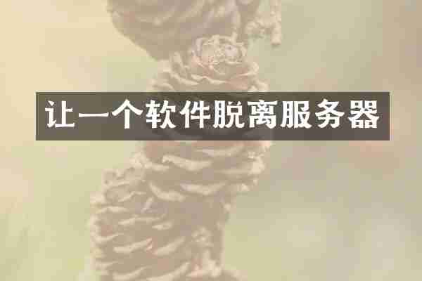 让一个软件脱离服务器