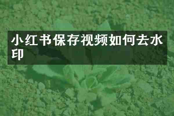 小红书保存视频如何去水印