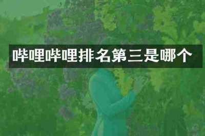 哔哩哔哩排名第三是哪个