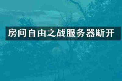 房间自由之战服务器断开