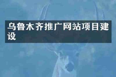 乌鲁木齐推广网站项目建设