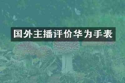 国外主播评价华为手表