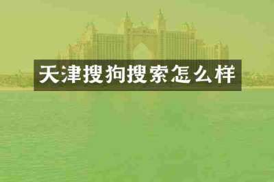 天津搜狗搜索怎么样