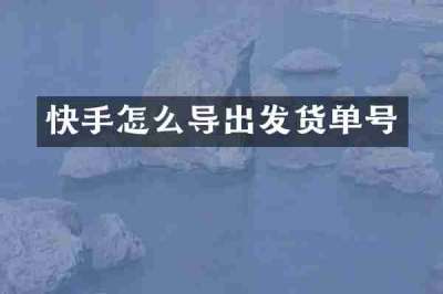 快手怎么导出发货单号