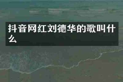 抖音网红刘德华的歌叫什么
