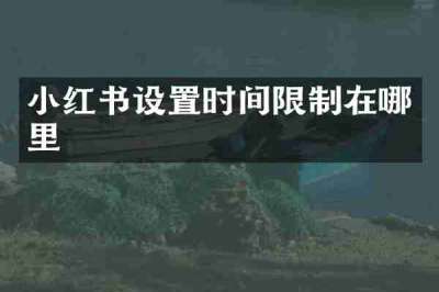 小红书设置时间限制在哪里