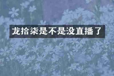龙拾柒是不是没直播了