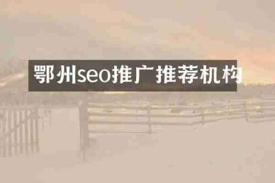 鄂州seo推广推荐机构