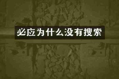 必应为什么没有搜索