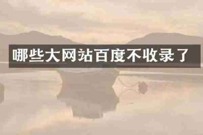 哪些大网站百度不收录了