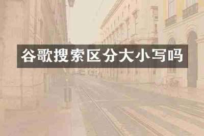 谷歌搜索区分大小写吗