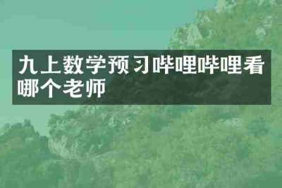 九上数学预习哔哩哔哩看哪个老师