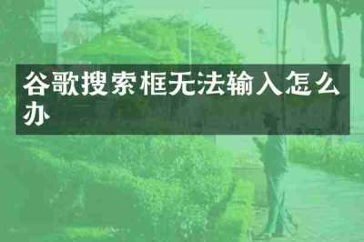 谷歌搜索框无法输入怎么办