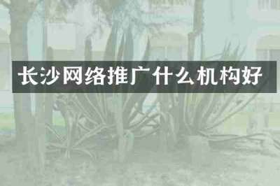 长沙网络推广什么机构好
