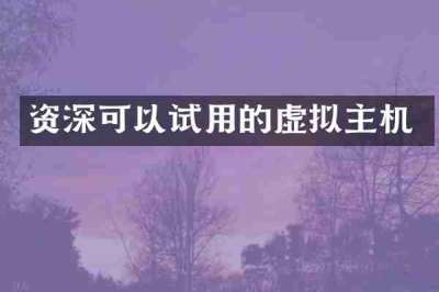 资深可以试用的虚拟主机
