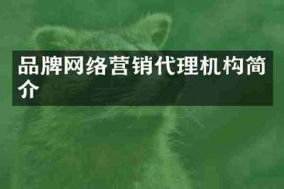 品牌网络营销代理机构简介