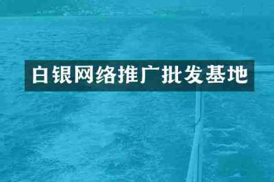 白银网络推广批发基地