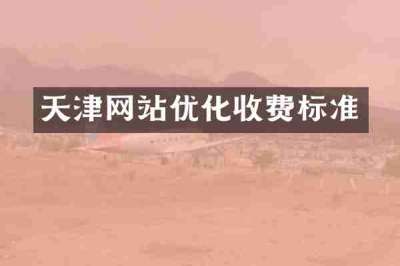 天津网站优化收费标准