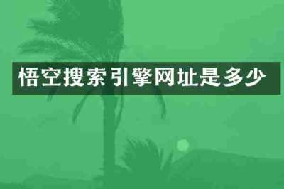 悟空搜索引擎网址是多少