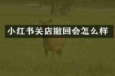 小红书关店撤回会怎么样