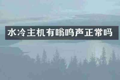 水冷主机有嗡鸣声正常吗