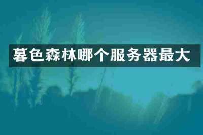 暮色森林哪个服务器最大