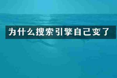 为什么搜索引擎自己变了