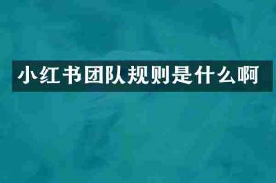 小红书团队规则是什么啊