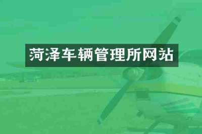 菏泽车辆管理所网站