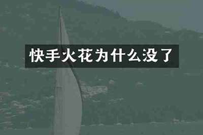 快手火花为什么没了