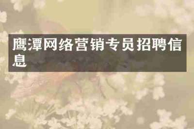 鹰潭网络营销专员招聘信息