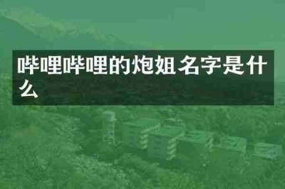 哔哩哔哩的炮姐名字是什么