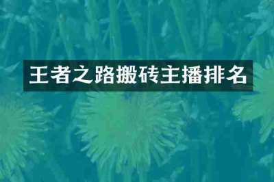 王者之路搬砖主播排名
