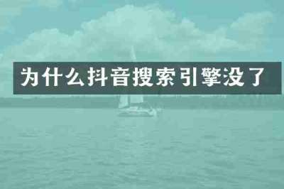 为什么抖音搜索引擎没了