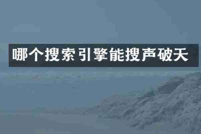 哪个搜索引擎能搜声破天