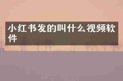 小红书发的叫什么视频软件