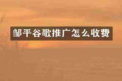 邹平谷歌推广怎么收费